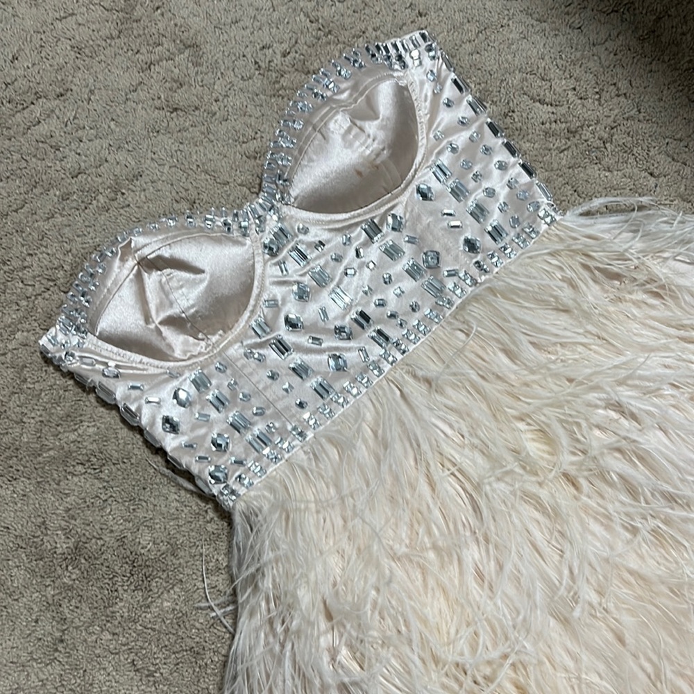 CORSET FEATHER DRESS